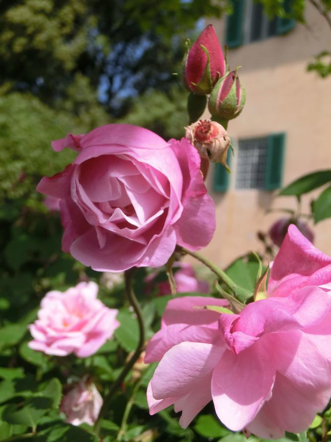 Villa Pacinotti Pistoia Luaran gambar